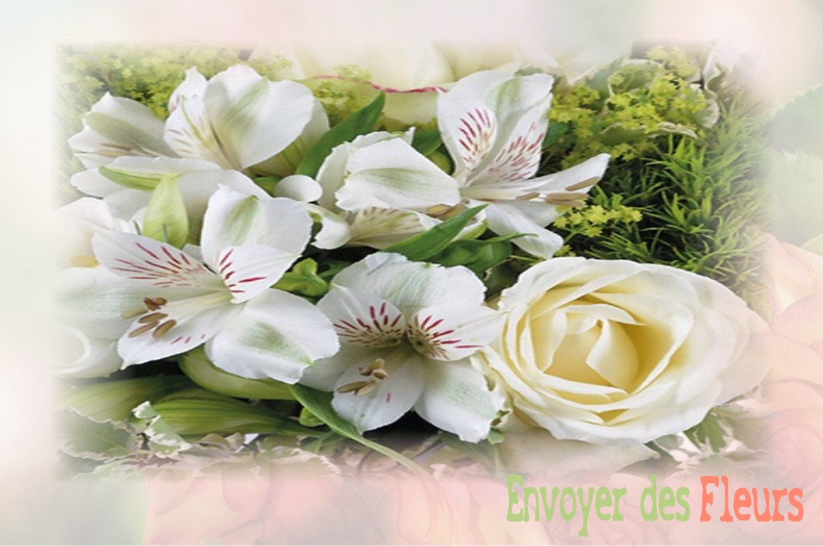 envoyer des fleurs à à SAINT-MARTIN-D-AUDOUVILLE